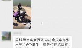 爆料禹城事件视频最新版,真相大白，疑云散去